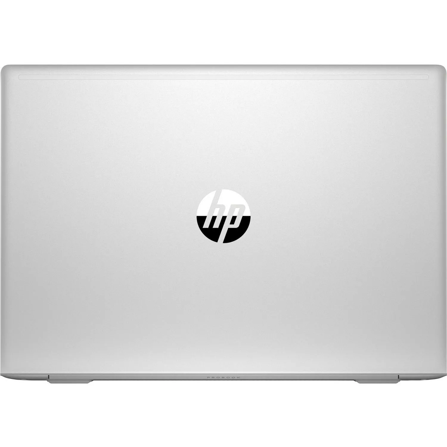 HP 455G7 175V4EA