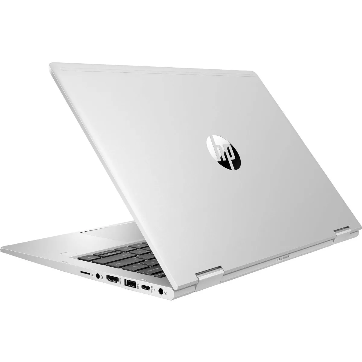 HP ProBook x360 435 G7 (435G7 1F3P0EA)