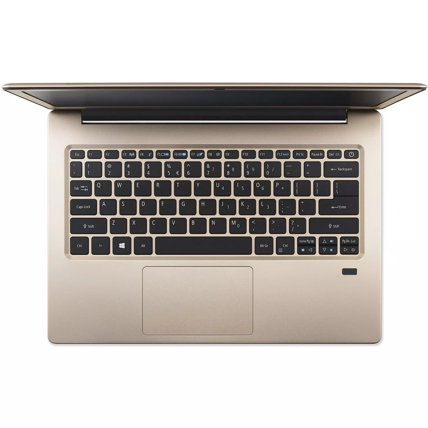 Acer Swift 1 SF113-31 (SF113-31-P989)