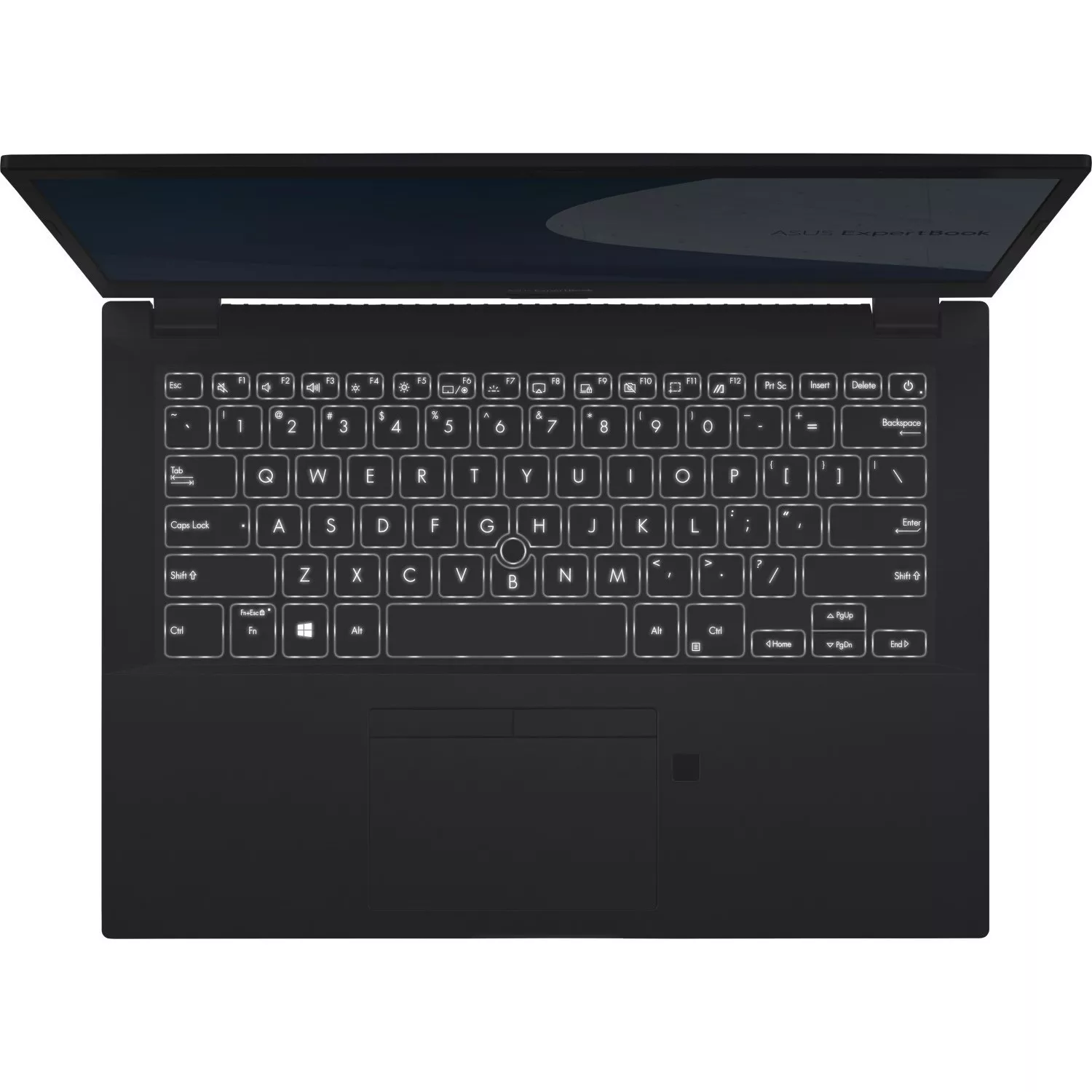Asus ExpertBook B9450FA (B9450FA-BM0555R) (черный)