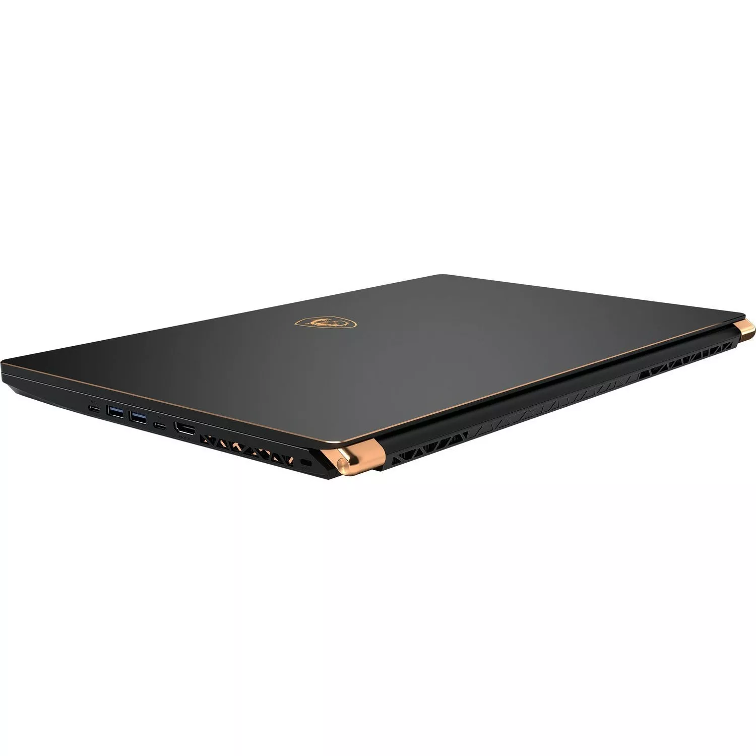 MSI GS75 Stealth 10SGS (GS75 10SGS-828UA)