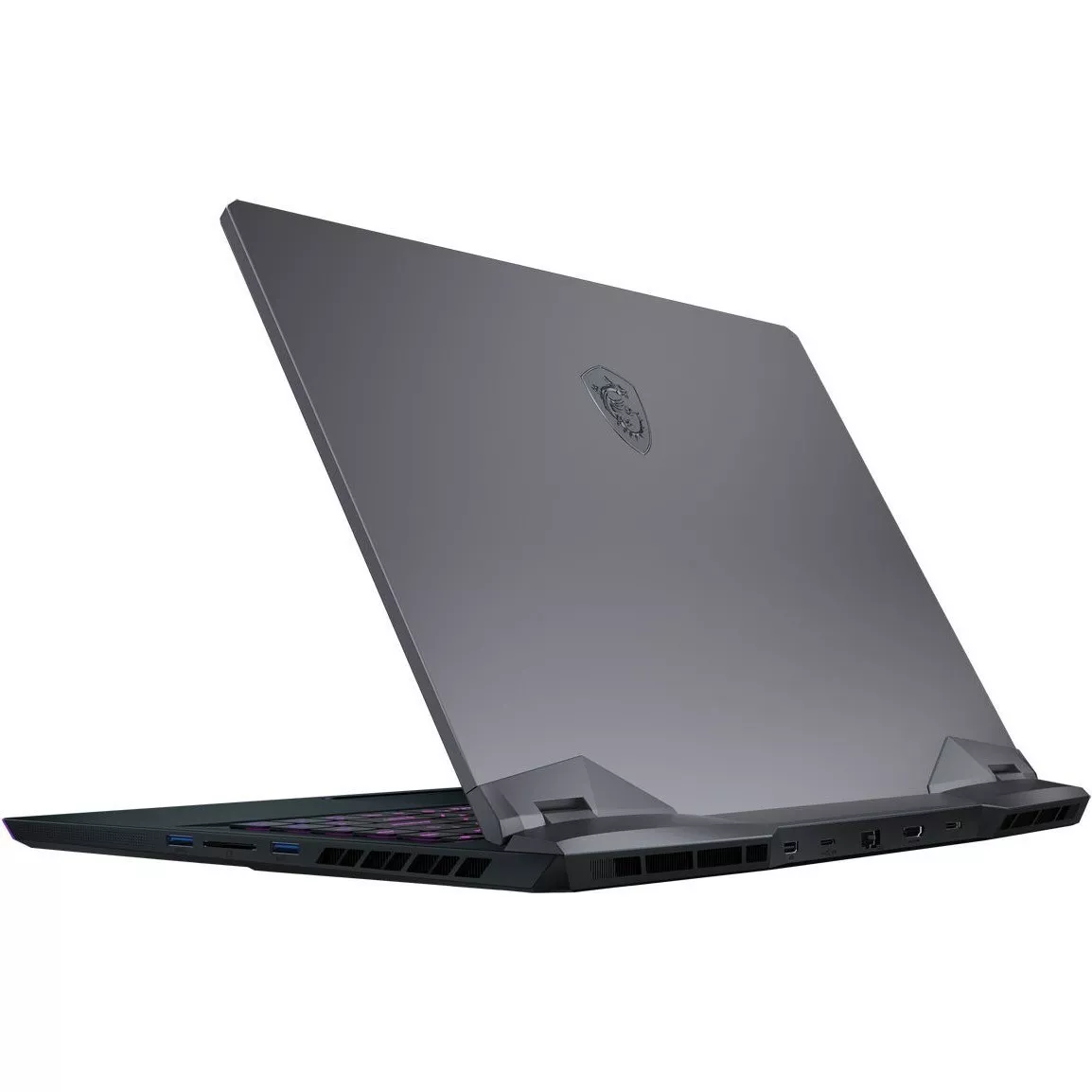 MSI GE66 Raider 10UH (GE66 10UH-613RU)
