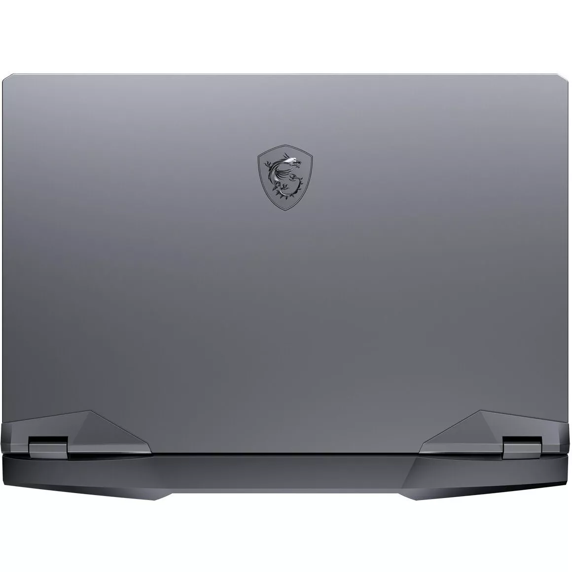 MSI GE66 Raider 10UH (GE66 10UH-613RU)