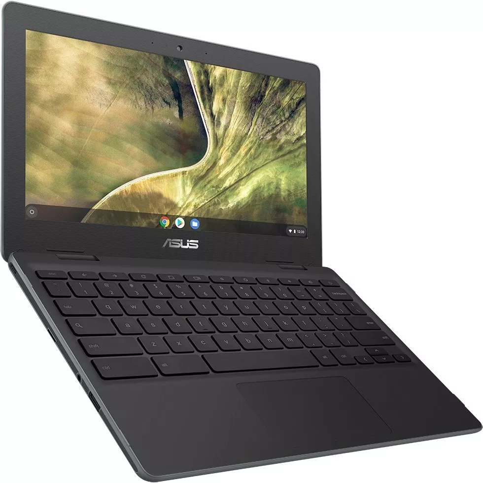 Asus C204MA-GJ0417