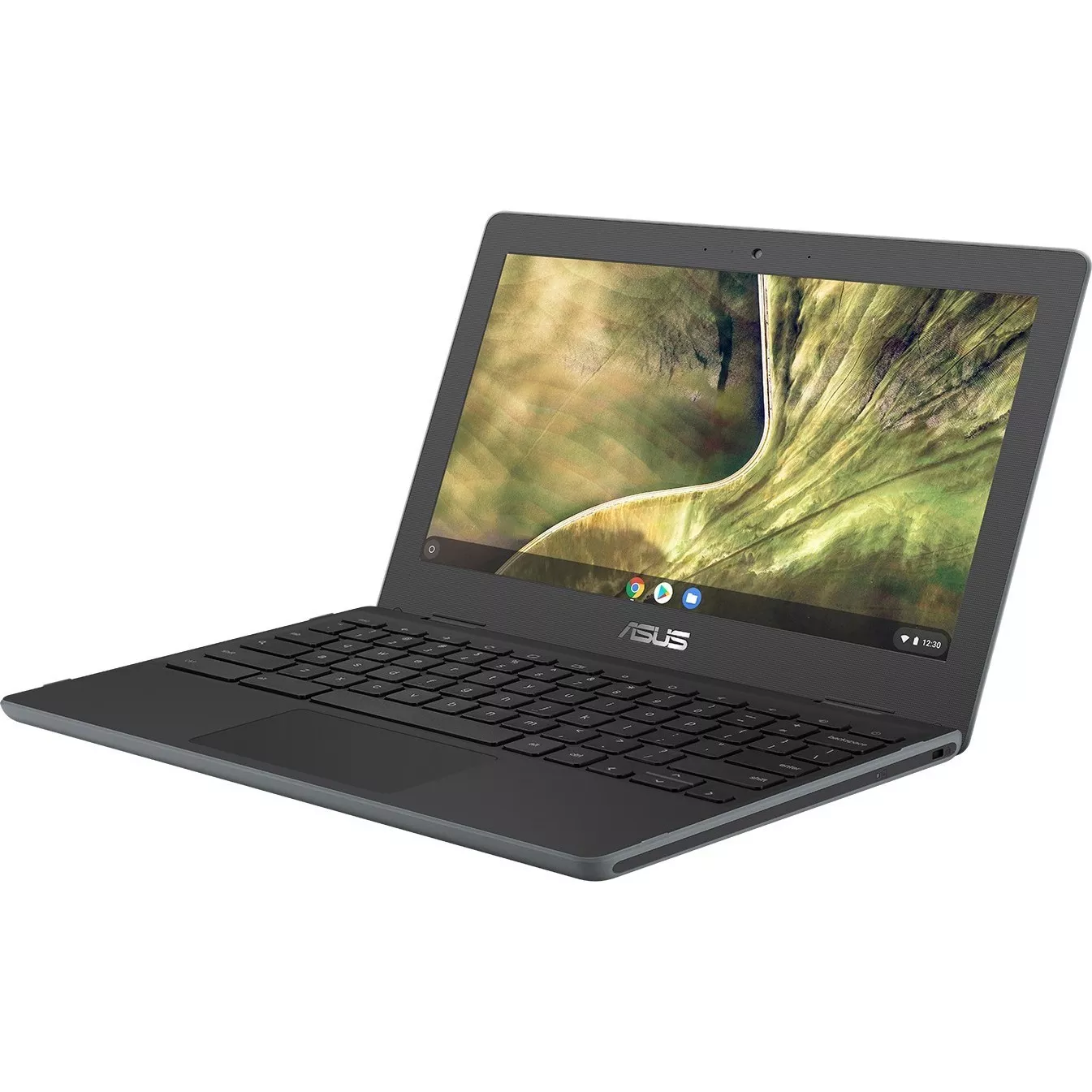 Asus C204MA-GJ0417