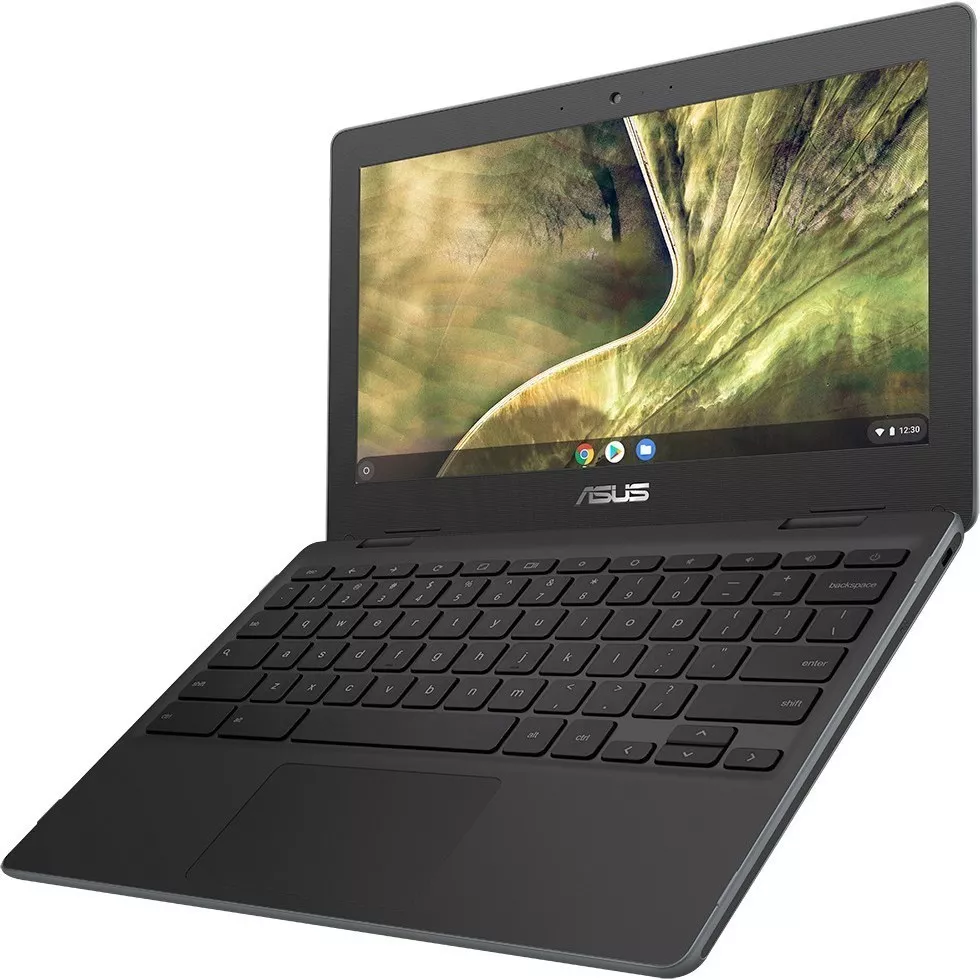 Asus C204MA-GJ0417