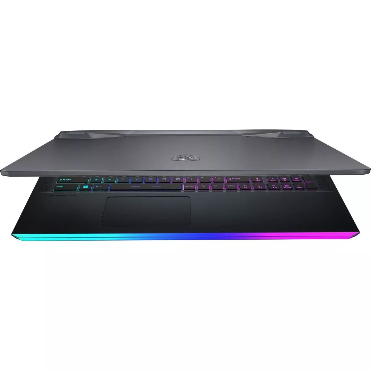 MSI GE76 Raider 10UG (GE76 10UG-215PL)