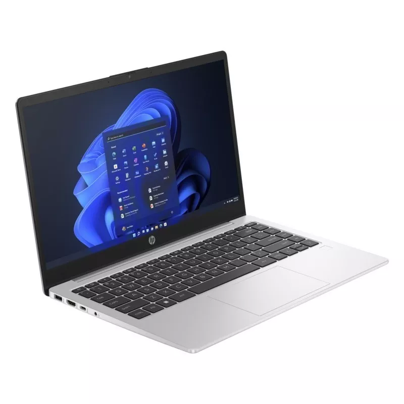 HP 240 G10 [240G10 817V5EA] (серебристый)