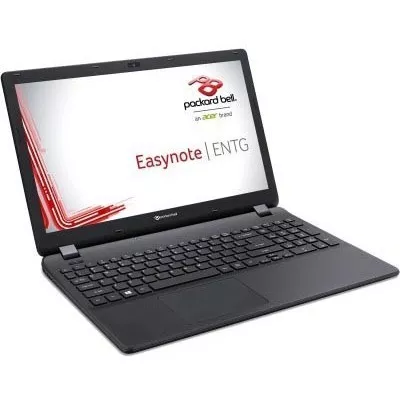 Packard Bell TG71BM-243L NX.C3UEU.006