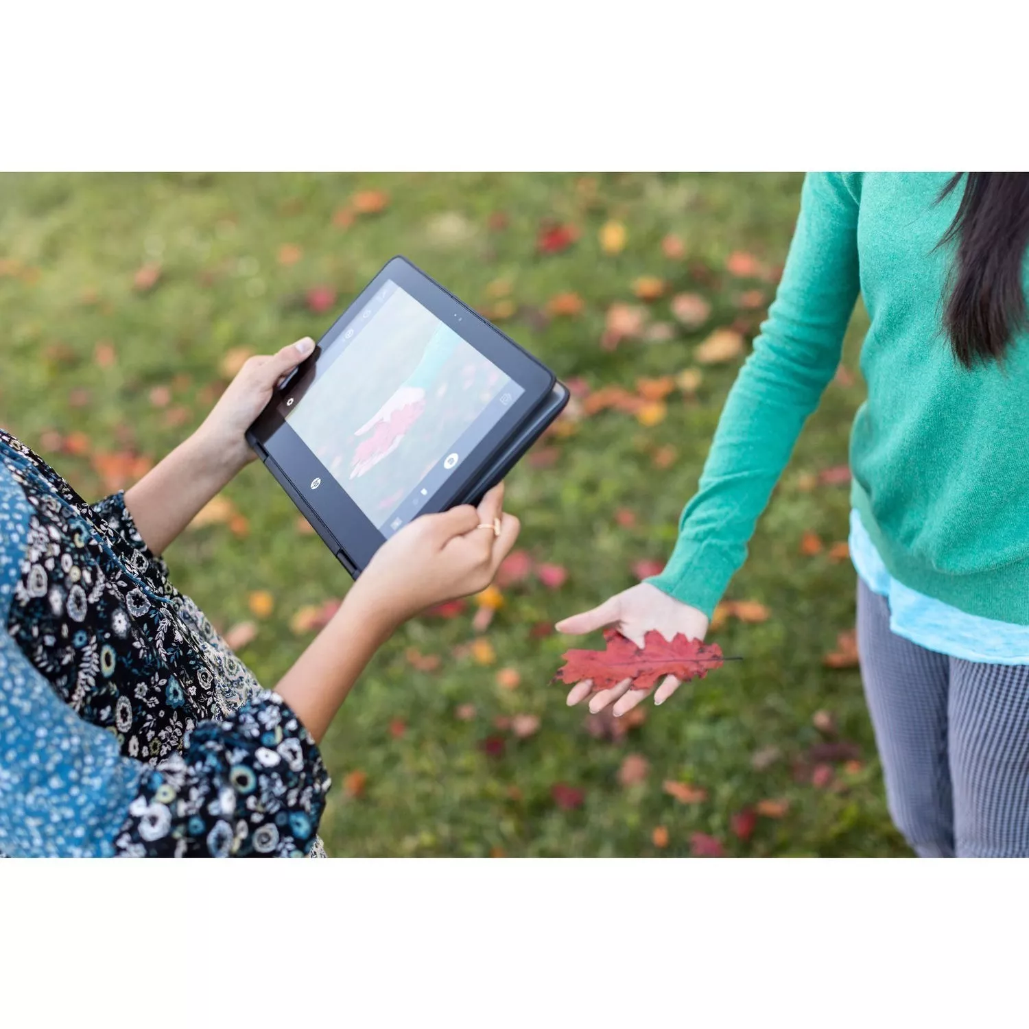 HP ProBook x360 11 G2 EE (2EZ91UT)