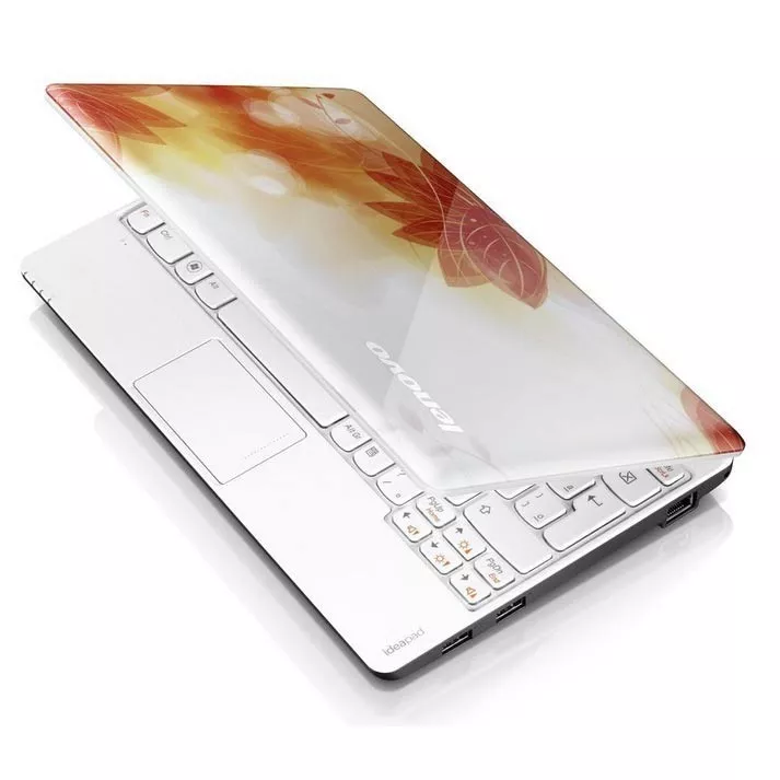 Lenovo S100 59-306249