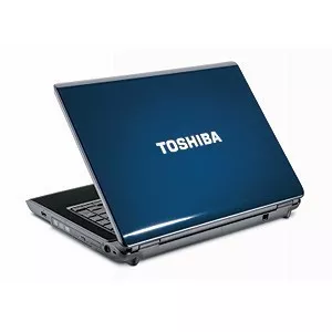 Toshiba L305D-S5974