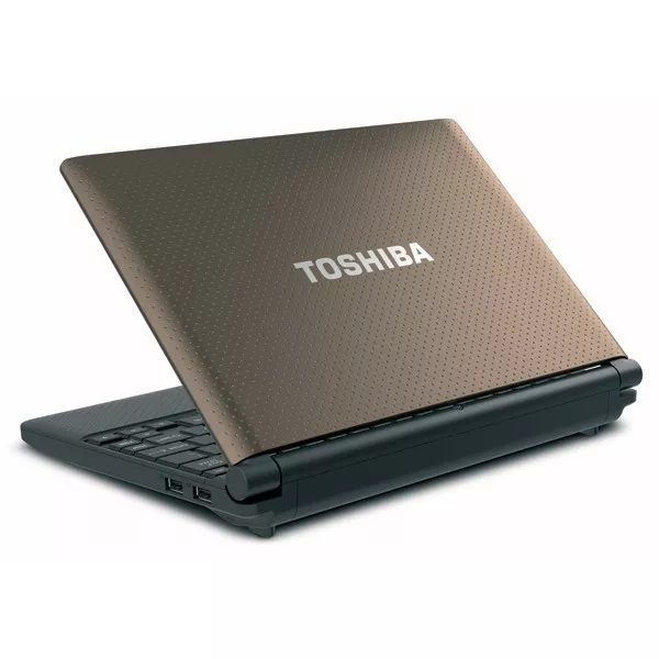 Toshiba NB505-N508TQ