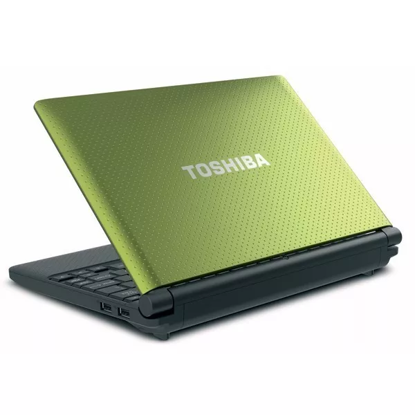 Toshiba NB505-N508TQ