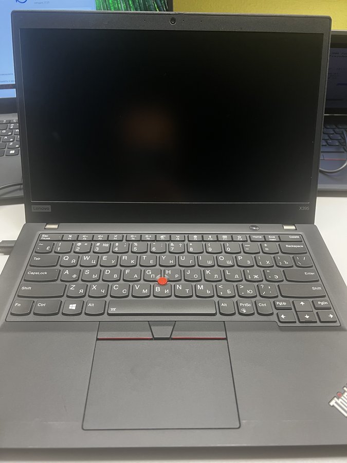 Lenovo ThinkPad X395 (X395 20NL000KRT)