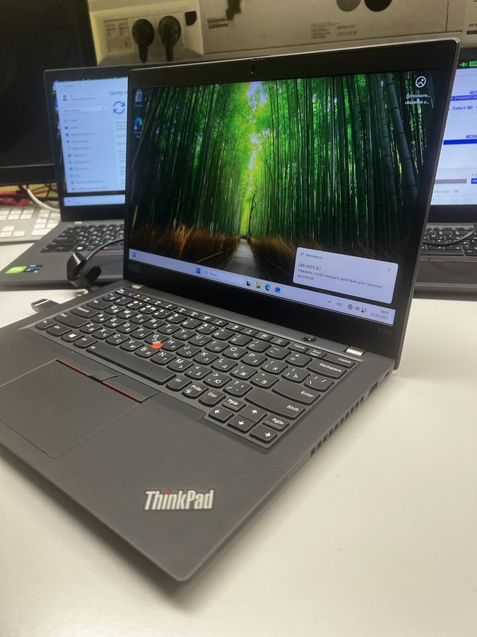 Lenovo ThinkPad X395 (X395 20NL000KRT)