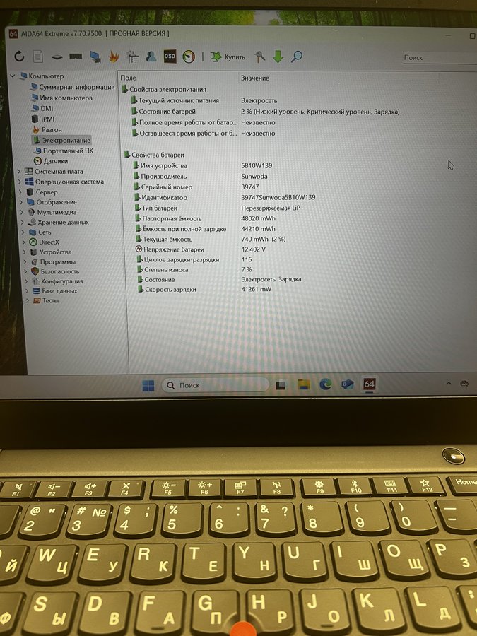 Lenovo ThinkPad X395 (X395 20NL000KRT)