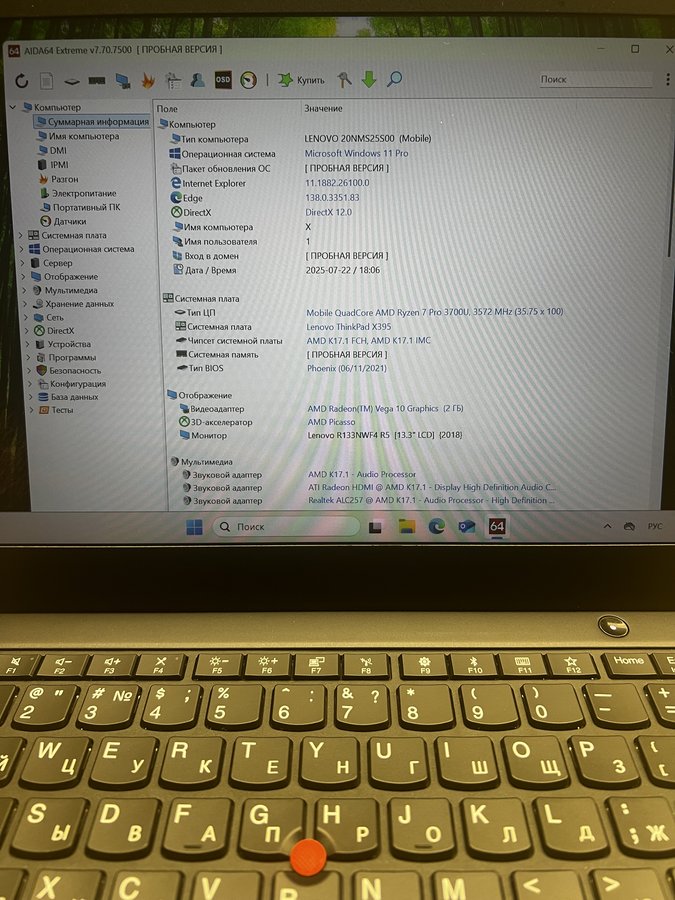 Lenovo ThinkPad X395 (X395 20NL000KRT)