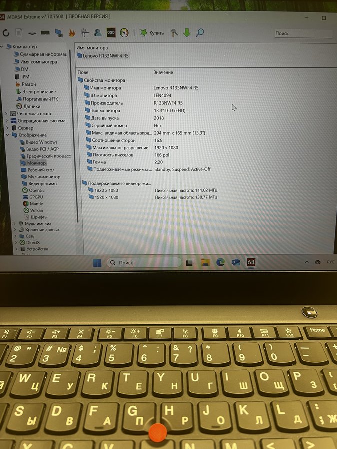 Lenovo ThinkPad X395 (X395 20NL000KRT)