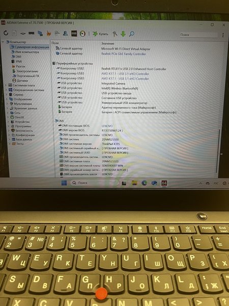 Lenovo ThinkPad X395 (X395 20NL000KRT)