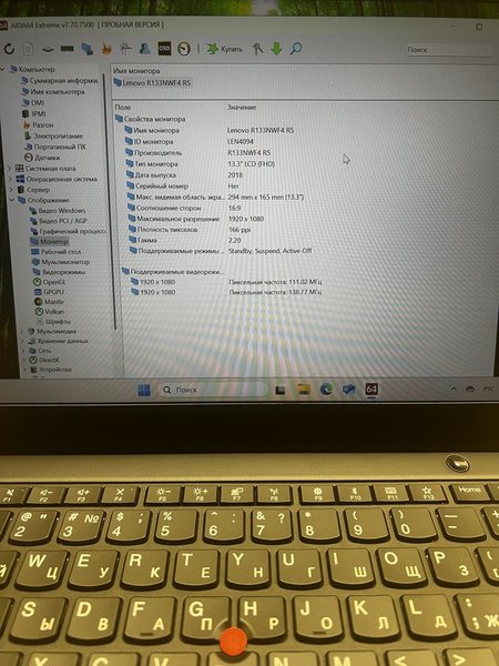 Lenovo ThinkPad X395 (X395 20NL000KRT)