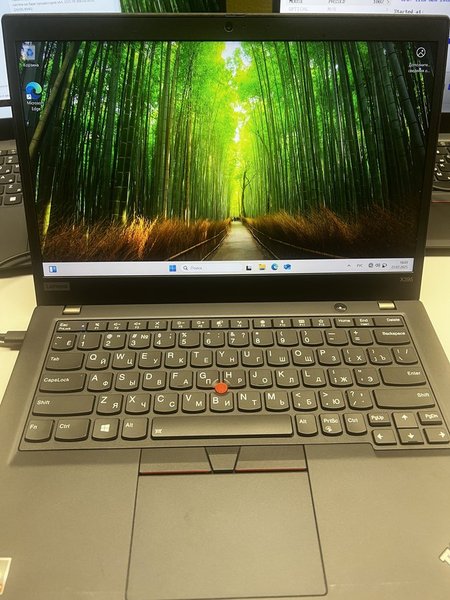 Lenovo ThinkPad X395 (X395 20NL000KRT)