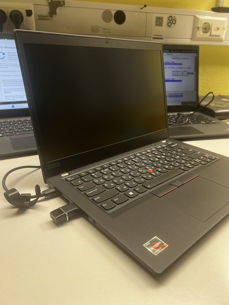 Lenovo ThinkPad X395 (X395 20NL000KRT)
