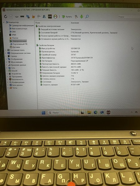 Lenovo ThinkPad X395 (X395 20NL000KRT)